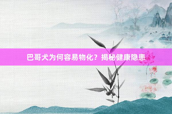 巴哥犬为何容易物化？揭秘健康隐患