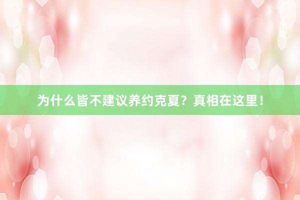 为什么皆不建议养约克夏？真相在这里！